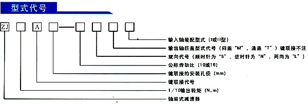 新澳门资料网