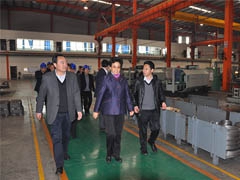 省委常委、省总工会主席李登菊一行莅临调研