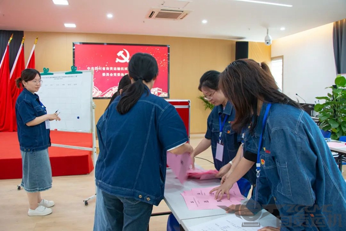 新澳门资料网